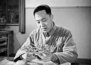 医学泰斗的坚守与离别