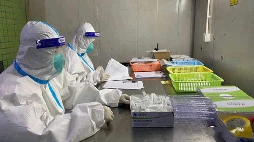 警惕冷链风险，女子怀孕37周因吃冷藏食品不幸流产