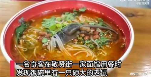 558元一碗面店主称探店有剧本